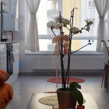 Aki Studio Apartman Brassó Kültér fotó